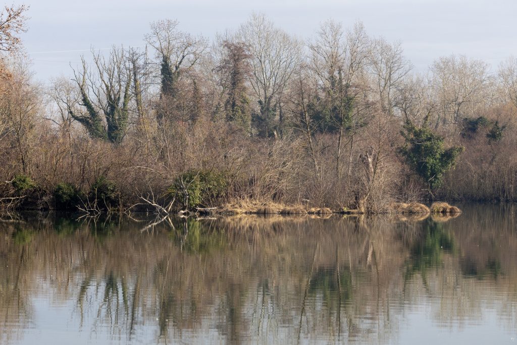 Jezero Savica