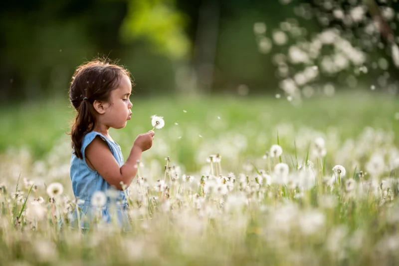 Djevojčica s maslačkom