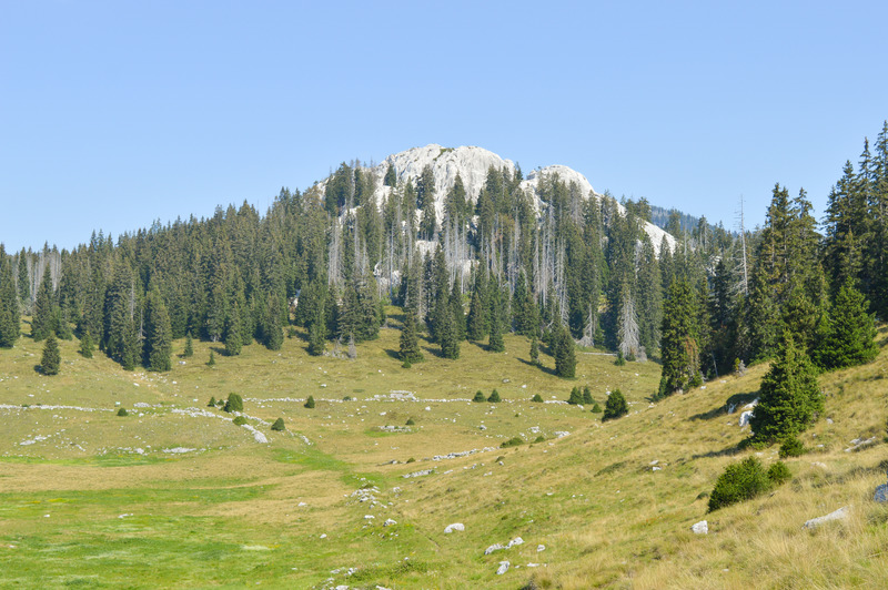 Rezervat prirode Lubenovac na Sjevernom Velebitu.