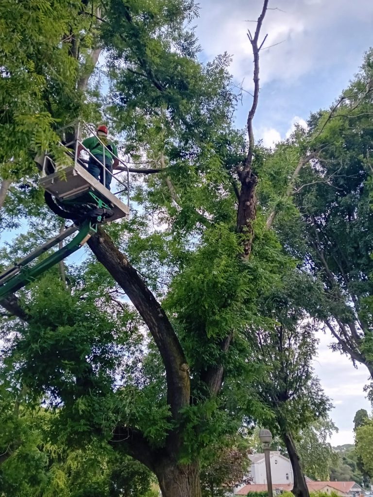 radnici raščišćavaju posljedice nevremena