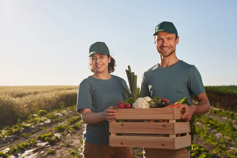 Ponosni farmeri, muškarac i žena drže drvenu kutiju u kojoj je povrće