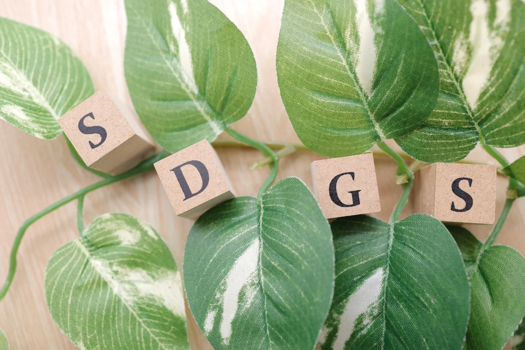 SDG ciljevi