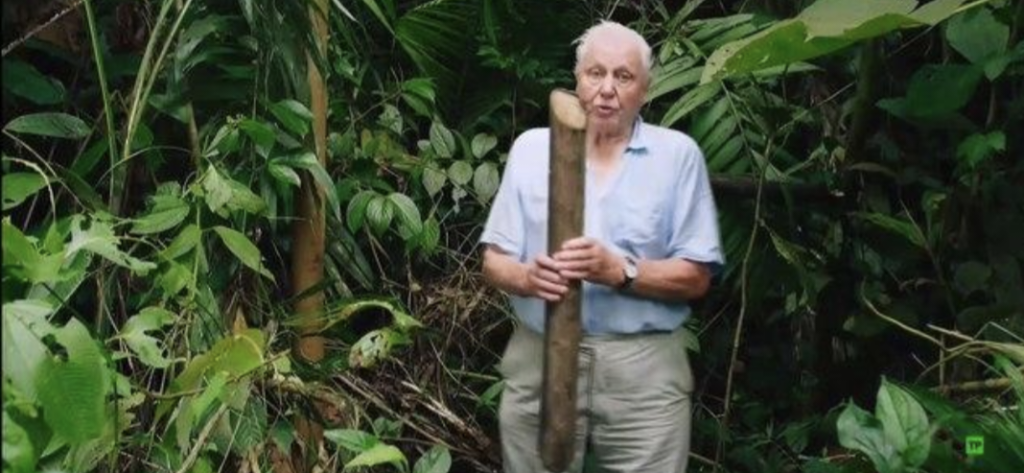 David Attenbourgh