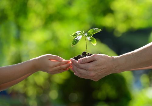 #PlantHealth4Life