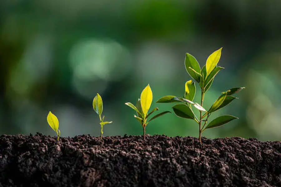 #PlantHealth4Life