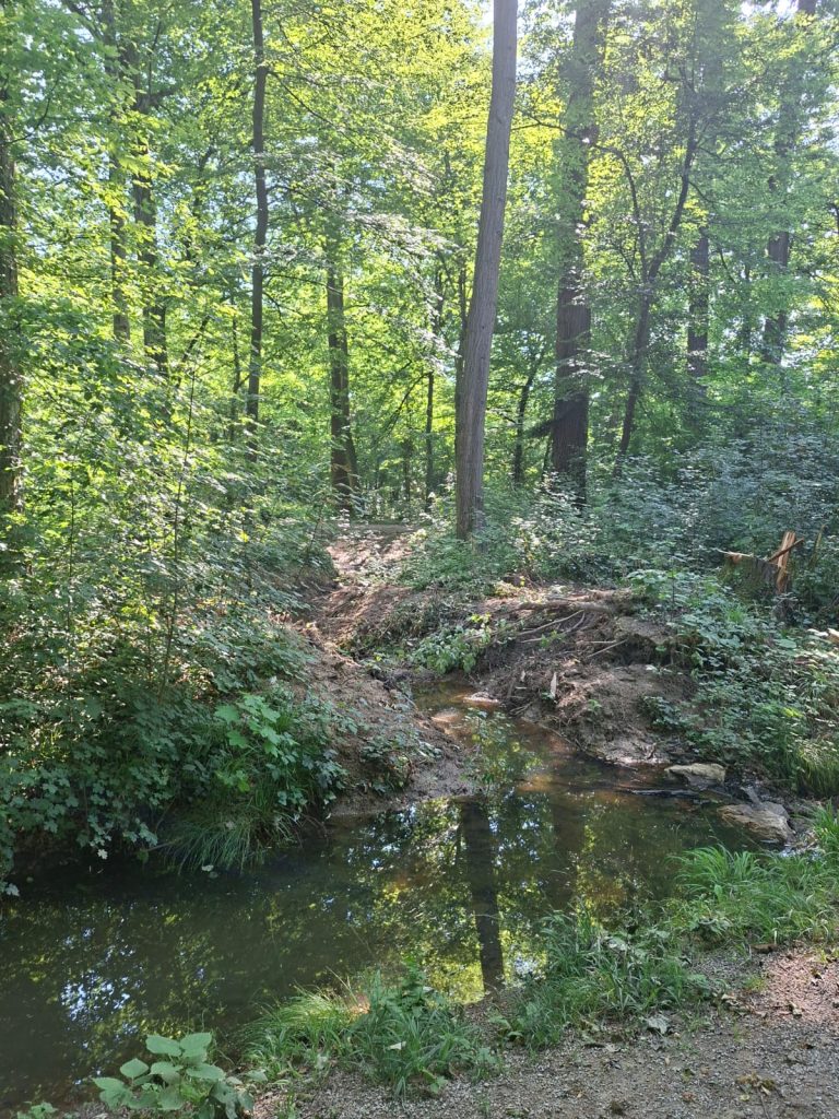 Predstavljanje rezultata pilot aktivnosti na povećanju retencijskog kapaciteta parka Maksimir