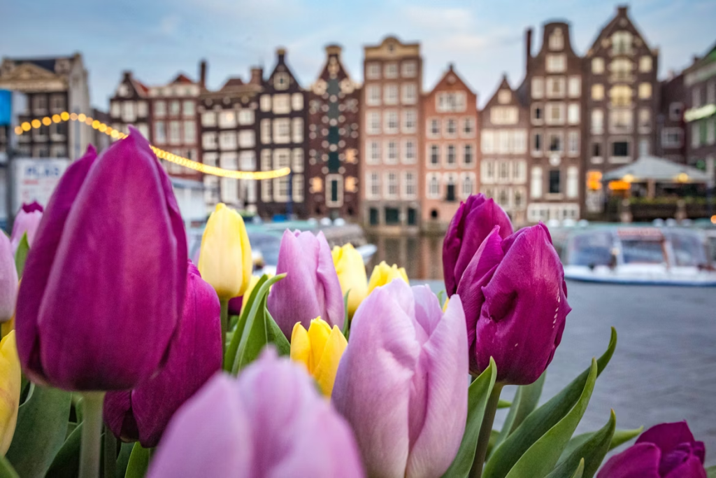 Amsterdam