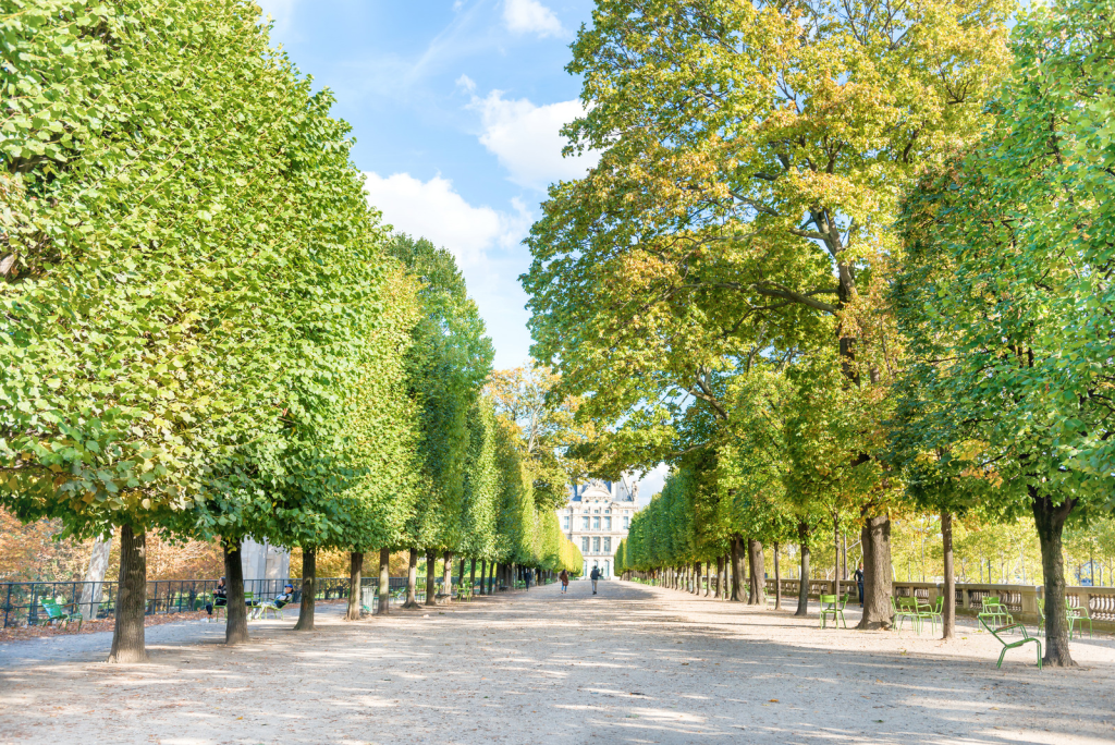 Pariz