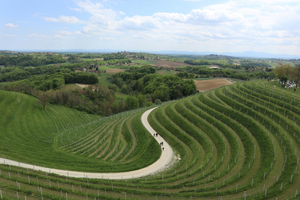 Valoviti vinogradi na Mađerkinom bregu u općini Štrigova u Međimurskoj županiji, jedan od najljepših vidikovaca i vinogradarskih položaja u sjevernoj Hrvatskoj.