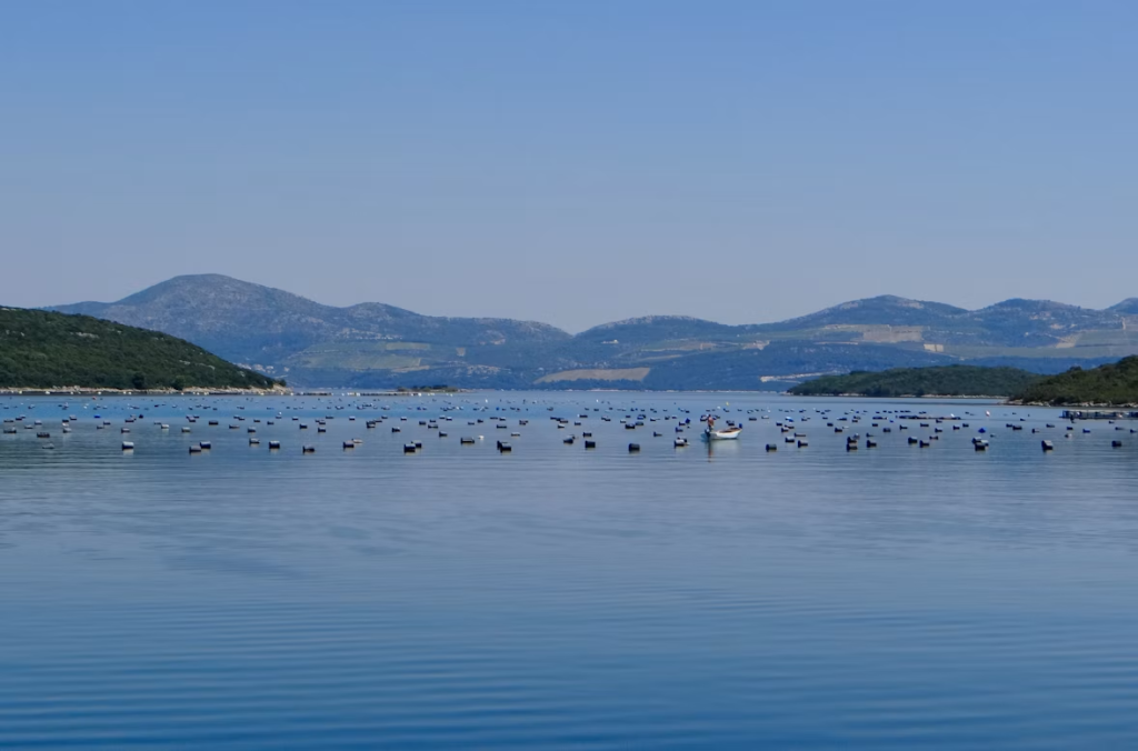 Neretva