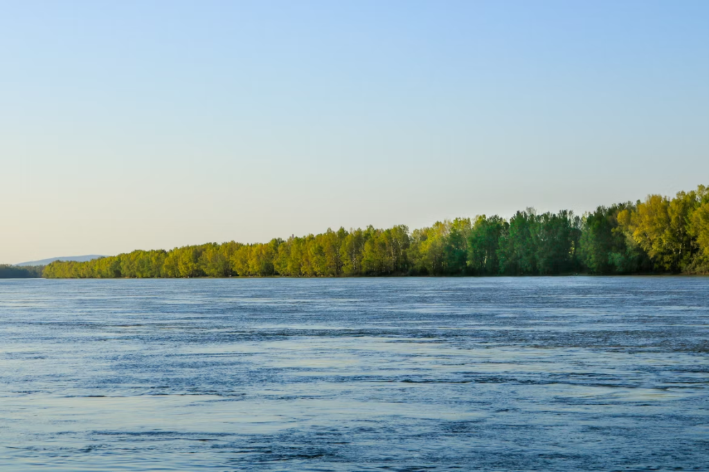 Dunav