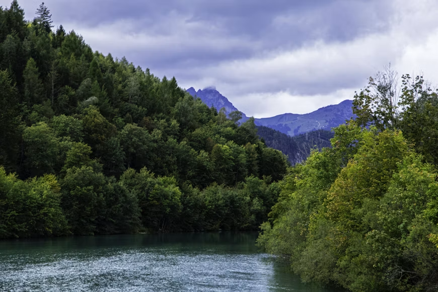 Šuma