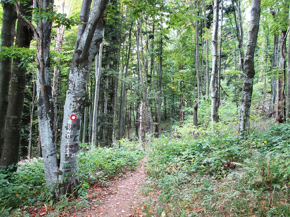 Medvednica